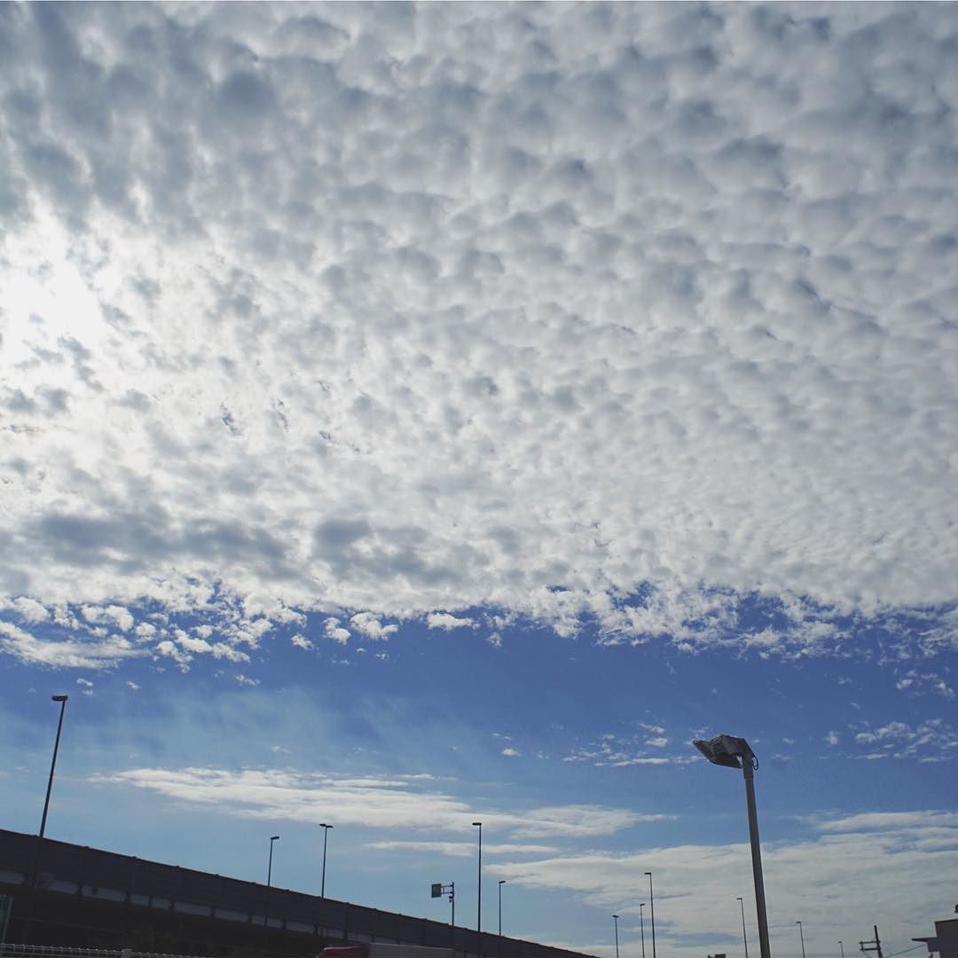 今朝の空。秋近し。 #sorapetitcc #sora #sky #clouds #japan http://ch.dcpndsgn.com/2x7DP32 #sonya7ii #mdrokkor28mmf28 #vsco #nofilter