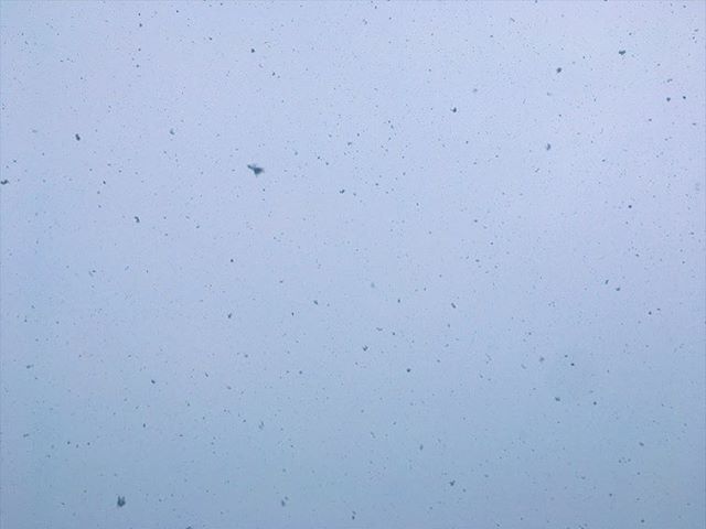 2018.12.23 a.m.8:14 #kao_sora 雪は午前中には止んだのだけど、どんより曇っているので満月は見れないだろうな。 * ** #iphonese #vscocam #sorapetitcc #igersjp #reco_ig #landscape #風景写真 #kao_ombetsu