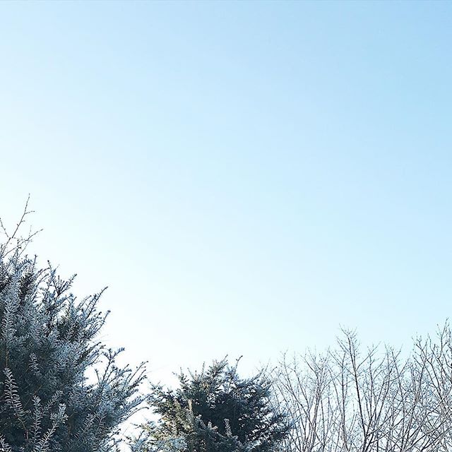 2019.1.4 a.m.8:14 #kao_sora 今日から仕事始めでした。凍れた朝。 * ** #iphonese #vscocam #sorapetitcc #igersjp #reco_ig #landscape #風景写真 #kao_ombetsu