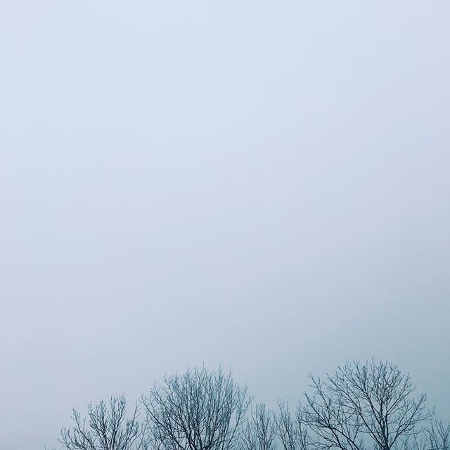 2019.2.6 p.m.2:56 #kao_sora どんより寒い日。 * ** #iphone7 #vscocam #sorapetitcc #igersjp #reco_ig #landscape #風景写真 #kao_ombetsu